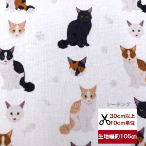 tsukushiuV[`Ovun`ɂ񂱁v Rbg100 n z  L lR ˂ cat jR fW^vg [EFA  obO  w bXobO Gv p