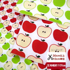 tsukushiuV[`OvuAbv}[`v Rbg100 n z  񂲕 񂲕 apple ь fW^vg [EFA  obO  w Gv pc s[X@