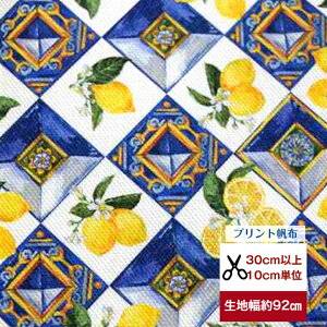 yvg8zzunC̃VgX^Cv  ^C Rbg100  z  n z g[gobO TRbV В ẑ΂ eBbVJo[@bag fW^v