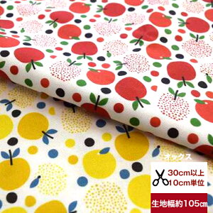 tsukushiuIbNXvuApple&Greenapplev Rbg100 n z  t[c @   k fW^vg [EFA  obO  Jo[ w G