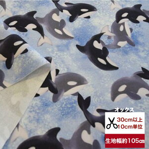 tsukushiuIbNXvuC̉҃V`v Rbg100 n z  V` C̐ CJ C jq q fW^vg [EFA  obO  Jo[ w G