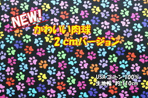 LDW܂I/USARbg/킢2cm/n/z//L/An/AJ//Gv