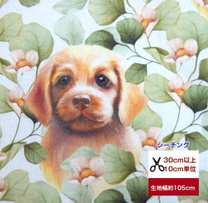 yV[`OzuǂȂcS[fgo[ƃ[J̗tv Gribanessa Rbg100  z w   Jo[O {^ ԕ  t[  n 