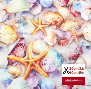 yV[`Ozuparadise shellv ẙLkRbg100  z w   Jo[O n Lk qgf  C l fW^vg