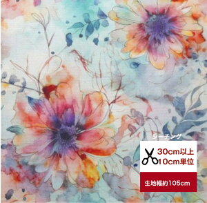 yV[`OzusuisaiEȂ₩ɗh߂RXXv Rbg100  z w   Jo[O n fW^vg ԕ  RXX