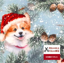 楽天市場】犬 服 冬（生地・布｜手芸・クラフト・生地）：日用品雑貨  