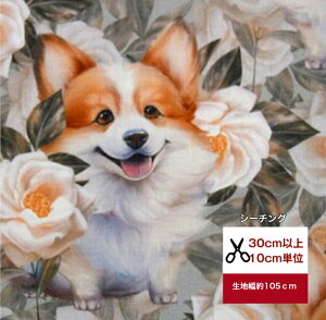 【シーチング】gribanessa world 「コーギーと白い薔薇の楽園」 コットン100% 綿 布 入園入学 服 手作り カバーリング 犬 犬柄 コーギー 薔薇 バラ 白バラ ホワイトローズ