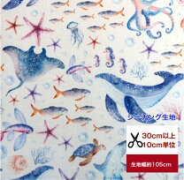 楽天市場】深海魚 生地の通販
