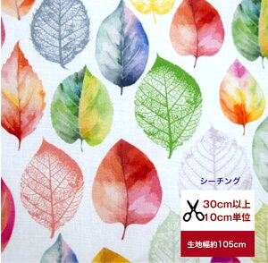 u~N[t-Of[VvV[`O/t/O[/Rbg100 /n/ ///Jo[O/Gv/w/fW^vg/t/ nhCh  t XPg
