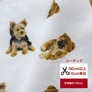 uV[`Ovy߂Ȃezbaby dog Vol.3 Rbg100 n z }XN w Č [NVeA e   Ck  nhChv k