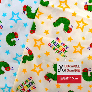 yIbNXz2024 ͂؂ނ u炫炨܁v ނ ͂؂  z n w  Rbg obO nhCh 100