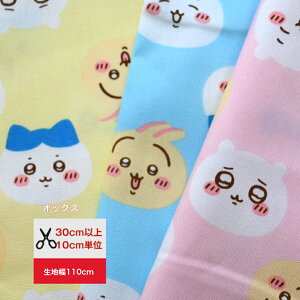 [3w\] 2024  uEɂv IbNXn 110cm×10cmPʌv蔄 |  nhCh Rbg vg w pXe 