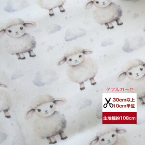 _uK[[ Ђ Rbg100 n z }XN w  nhCh Aj}  r qcW 