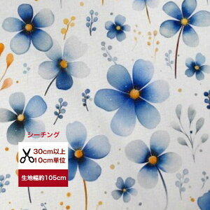 V[`O K̐RXX  z pp\ z   fW^vg nhCh k ԕ   tsukushi