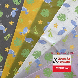 RbglLoX nVrREEK[f t t  ͂т낱 WO  Rbgl LoXn Ȗ Aj} 