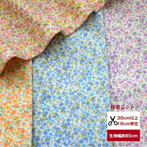 ڌjbg ԕ@Ԕ jbg  z   fW^vg Jt xr[  p  q l K[[jbg Lkf Rbg100