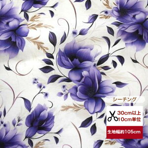 yV[`Oœoz uLuxuriousv n-p[vt[ p[v Rbg100 V[`O n z w }XN  s[X n hX q l 