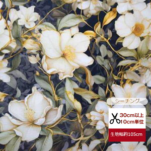 yV[`Oœoz uLuxuriousv ystrong&richzXgOb`t[ J[LO[ V[`O Rbg100 n z w }XN  hX s[X n l q