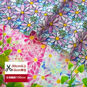 yV[`Oœoz uRXX̃XehKXv Rbg100 V[`O ԕ RXX n z a  r XehKX w }XN  s[X n hX q