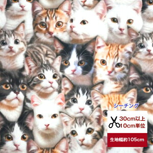 yV[`Oz Vol.1 ALbg Rbg100 V[`O lR L ˂ n z ʐ^ w }XN  Jo[O n q l  qL