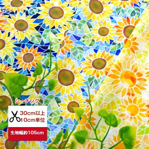 yV[`Oz uЂ܂̃XehOXv Rbg100 ԕ n z Ђ܂   q} XehOX  Ղ a  r t[ fW^vg w }X
