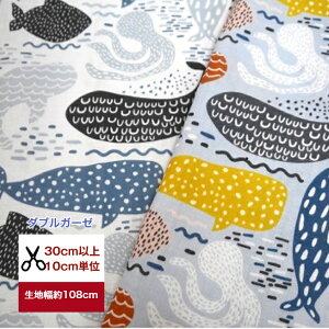 y_uK[[zzG[INgpX Rbg100 K[[ n z NW ^R C̐ C  Jo[O @ k 啿 w }XN  s[X n hX
