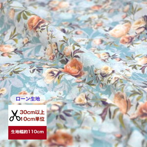 y[zre[Wt[u[Yv Rbg100 n z  ΂ ԕ CeAt@ubN  AeB[N 萶n  KN o w }XN  s[X 