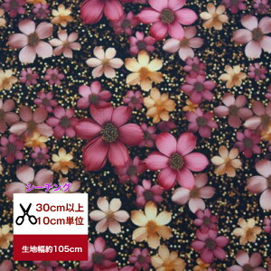 yV[`OzgCCgRXX  z pp\ Rbg100 V[`O ԕ n t[ }[Kbg RXX _[N sN   ̎q }XN  fW^vg 