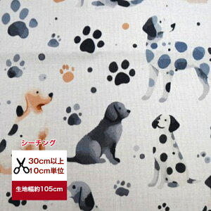 yV[`OzƂ̑ocO_VAY  z pp\ Rbg100  n z  tbgvg  R q _VA }XN  fW^vg 