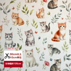 yV[`OzÂȎeL  z pp\ Rbg100 L ˂ lR cat@jR n z }XN  fW^vg q@{^jJ@nhCh@LD