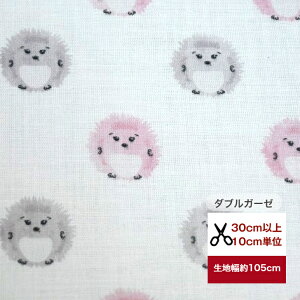 y_uK[[zuӂ͂˂݁v Rbg100 n z   CeAt@ubN w }XN  s[X n hX q l  n   hbg