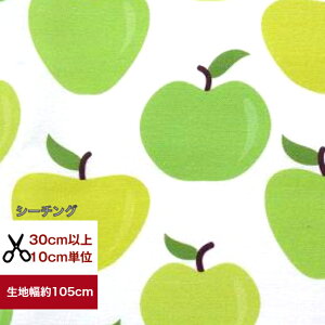 yV[`Ozu₩񂲁@Rbg100 n z S   fW^vg w   XbN nhCh  apple
