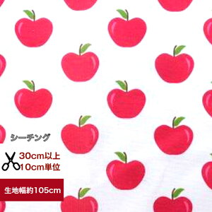 yV[`Oz񂲈̉^H Rbg100  n  @w fW^vg nhCh  S ь apple