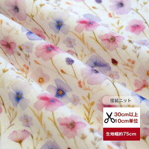 ӂ`_炩 ڌjbg Dkind flower jbg  z   fW^vg R xr[  p  K[[jbg sN ԕ n x_[ 