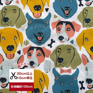 yV[`Oz uttFCXv Rbg100/ /z /w/  //Jo[O/ fW^vg ʐ^  Ck nXL[