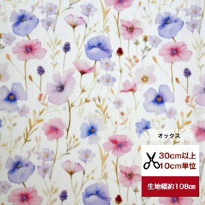 yIbNXzukind flowervoI Rbg100 ԕ ԕ t[ n z   CeAt@ubN w }XN  s[X n hX q l  n  X~