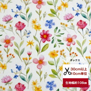 yIbNXzg{^jJ-Adel- Af ԕ   t[ jbg  z   fW^vg R xr[  p  K[[jbg sN n 