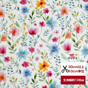 yIbNXzug{^jJ-emma-v oRbg100 ԕ ԕ t[ n z   CeAt@ubN w }XN  s[X n hX q l  