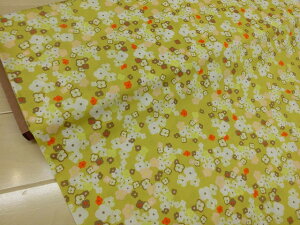 TT@ׁׂ@USA@PREMIUM@COTTON100@ȉԁuCG[v