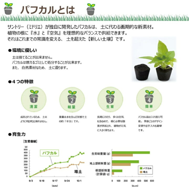 楽天市場 観葉植物 壁掛け植物 ミドリエ 本物 リビング 壁飾り 室内 新築 自宅オフィス インテリア ミドリエデザイン ペペロミア ドラセナ サンデリアーナ 玄関 土を使わない パフカル苗 交換苗 癒やし セット 5苗 プレゼント ギフト Heart The Shop 楽天市場 観葉植物 壁掛け植物 ミドリエ 本物 リビング 壁飾り 室内 新築 自宅オフィス インテリア ミドリエデザイン ペペロミア ドラセナ サンデリアーナ 玄関 土を使わない パフカル苗 交換苗 癒やし セット 5苗 プレゼント ギフト Heart The Shop