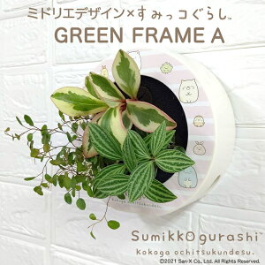 ϗtA A Ǌ|A {݂R炵 VFt yy~A ~hGfUC CeA Ă₷  ptJ 킢 ₵ {g 3c ~hG veBI[^ 