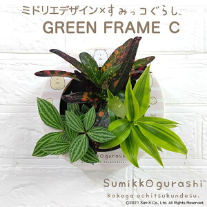 ϗtA A Ǌ|A {݂R炵 VFt yy~A ~hGfUC CeA Ă₷  ptJ 킢 ₵ {g 3c ~hG veBI[^ 