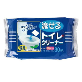流せるトイレクリーナー 厚手タイプ 30枚×10個セット ミントの香り 除菌 消臭 お掃除シート 使い捨て トイレ用ウェットシート