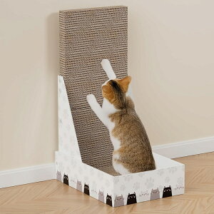 Gworld @\̒i{[L߂Ƃ L ܌ ʎg _{[ ϋv ܂Ƃ i{[ p  S肽 Vт 肽 L̗~ SL߂Ƃ lC {