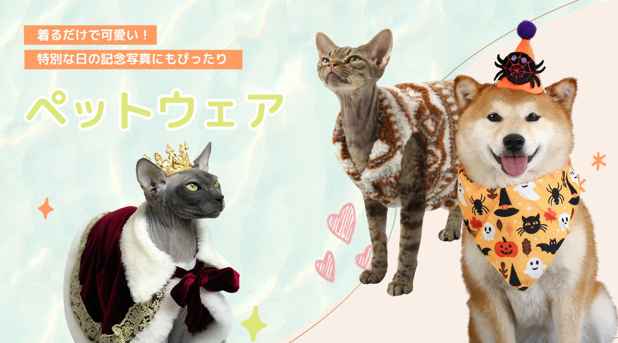 ペットウェア かわいい ペット撮影 特集