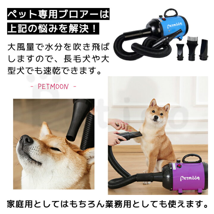 楽天市場】Petmoon 犬 ドライヤー 速乾 ブロワー いぬ ペット用 