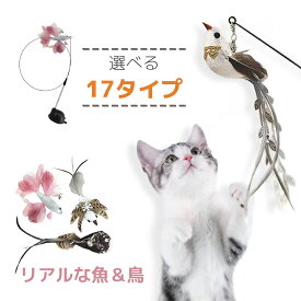 【レビュー記入特典】猫 おもちゃ じゃらし 吸盤 多頭飼い 釣竿型 鈴付き 小鳥 羽根 猫の玩具 猫が大興奮