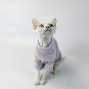 yr[T zLbgEFA L  t H XtBNX lR GKg jbg Vv  _炩 ybg IV