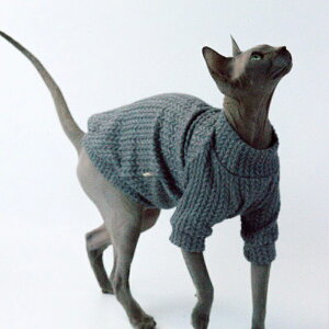 LbgEFA L  XtBNX lR GKg Z[^[  ~ ΍ ybg h IV 