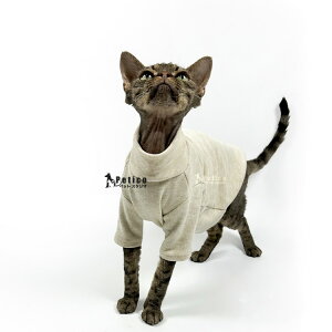 LbgEFA L  XtBNX lR ₷ 킹₷ ~ ΍ ybg h IV  񂹂 wAXLbg̕